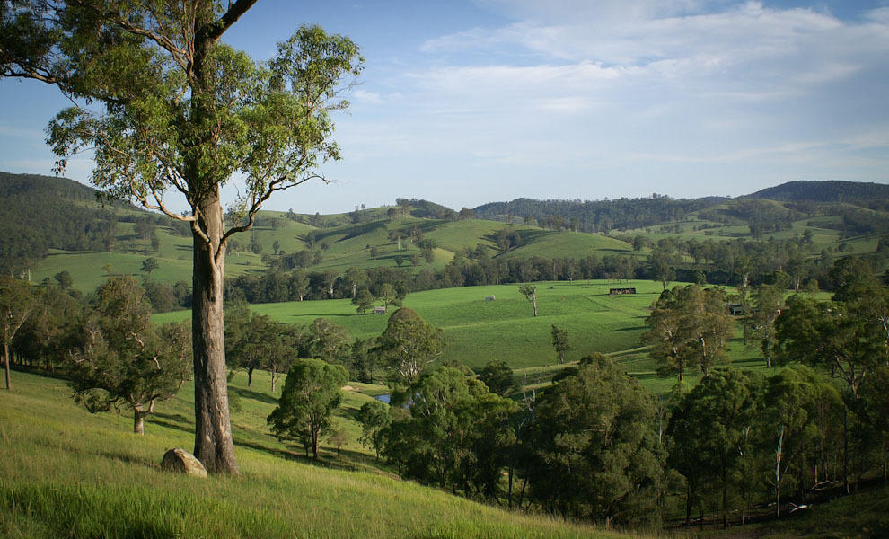 Riverwood Downs Of Barrington Tops Monkerai Экстерьер фото